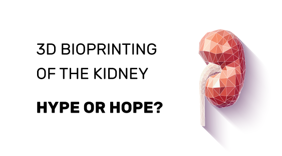 3d bioprinting of the kidney_2018-10-04-1 3d bioprinting of the kidney
