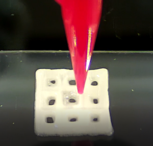 Bioprinted grid Bioprinted Grid