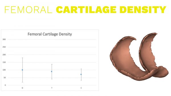 Femoral-cartilage-density-600×338
